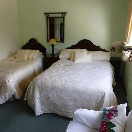 Shraheen House Bed & Breakfast Killarney